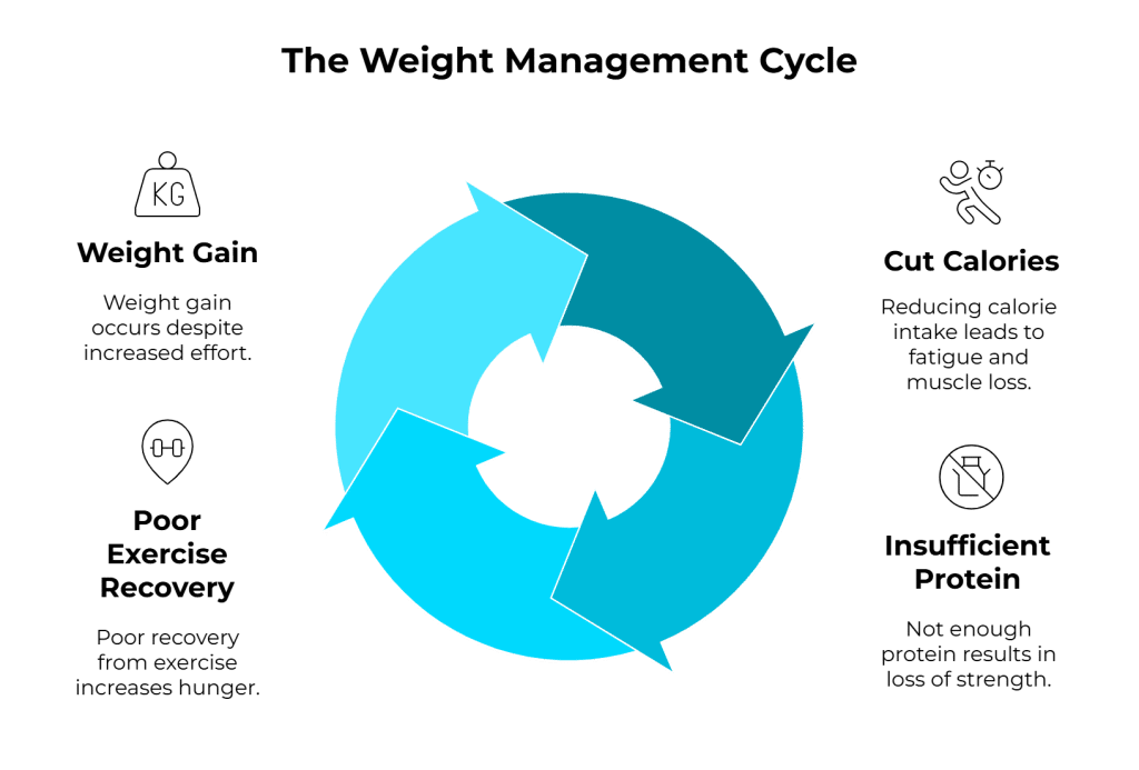 weight management cycle